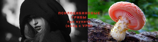 СК Бородино