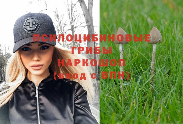 СК Бородино